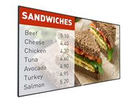 Philips Signage Solutions P-Line 42BDL5057P - Classe de diagonale 42" (41.92" visualisable) écran LCD rétro-éclairé par LED - signalisation numérique - 1080p 1920 x 1080 42BDL5057P/00